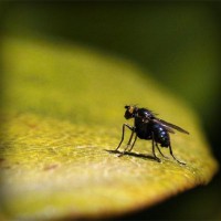 /album/roafollubo/photolia-a07-jpg/